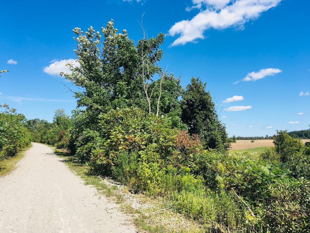 Chippewa Trail | 255-211, Haldimand 66, Caledonia, ON N3W 1N7, Canada