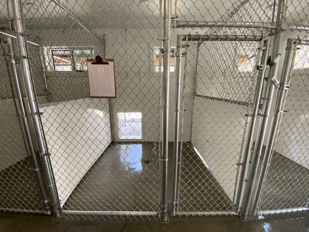 Picture Valley Dog Boarding | 4300 Fenwick Rd, Fort Steele, BC V0B 1N0, Canada | Phone: (250) 908-1962