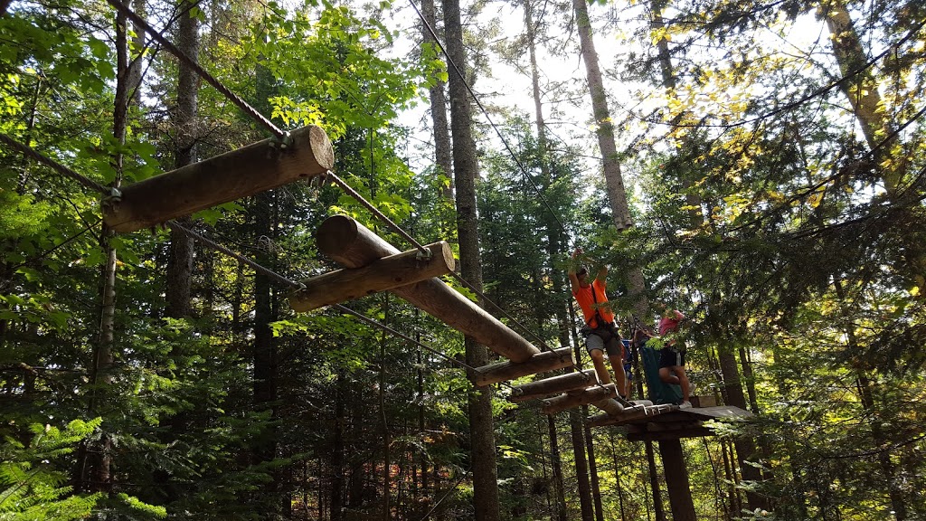 DArbre en Arbre | 435 Chemin Ernest-Martin, Marston, QC G0Y 1G0, Canada | Phone: (819) 583-3965