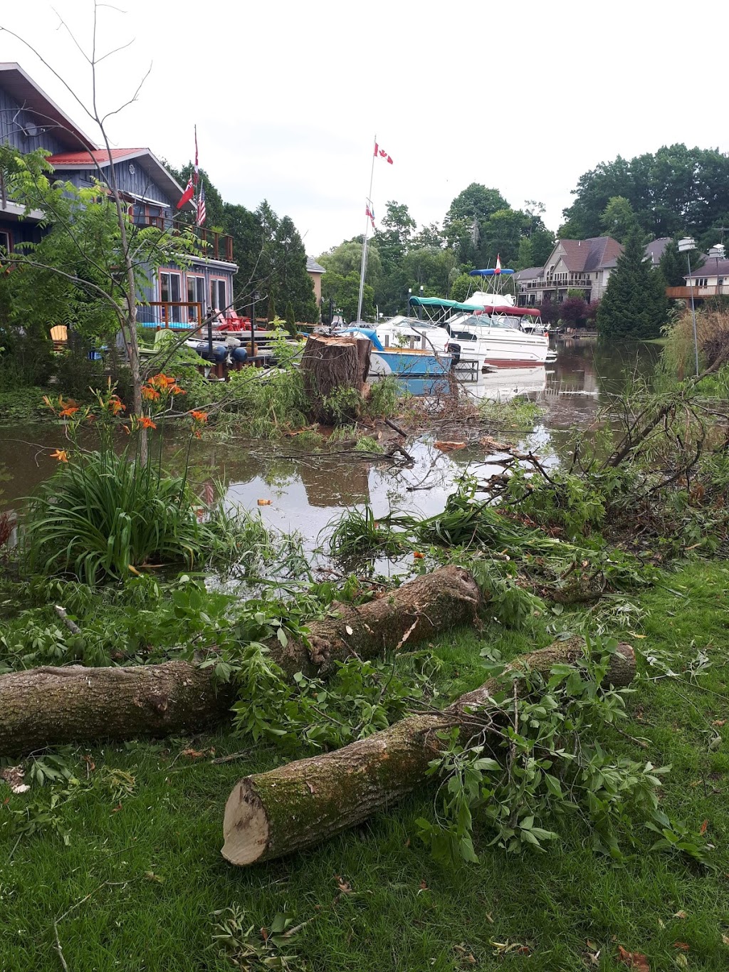 Clean-Up Tree and Stump Removal | 1075 Charlotteville 8 Rd, Simcoe, ON N3Y 4K5, Canada | Phone: (519) 429-3238