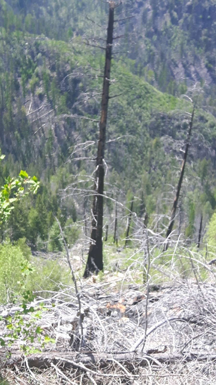 Hartman Park | 1250 Hartman Rd, Kelowna, BC V1P 1B6, Canada