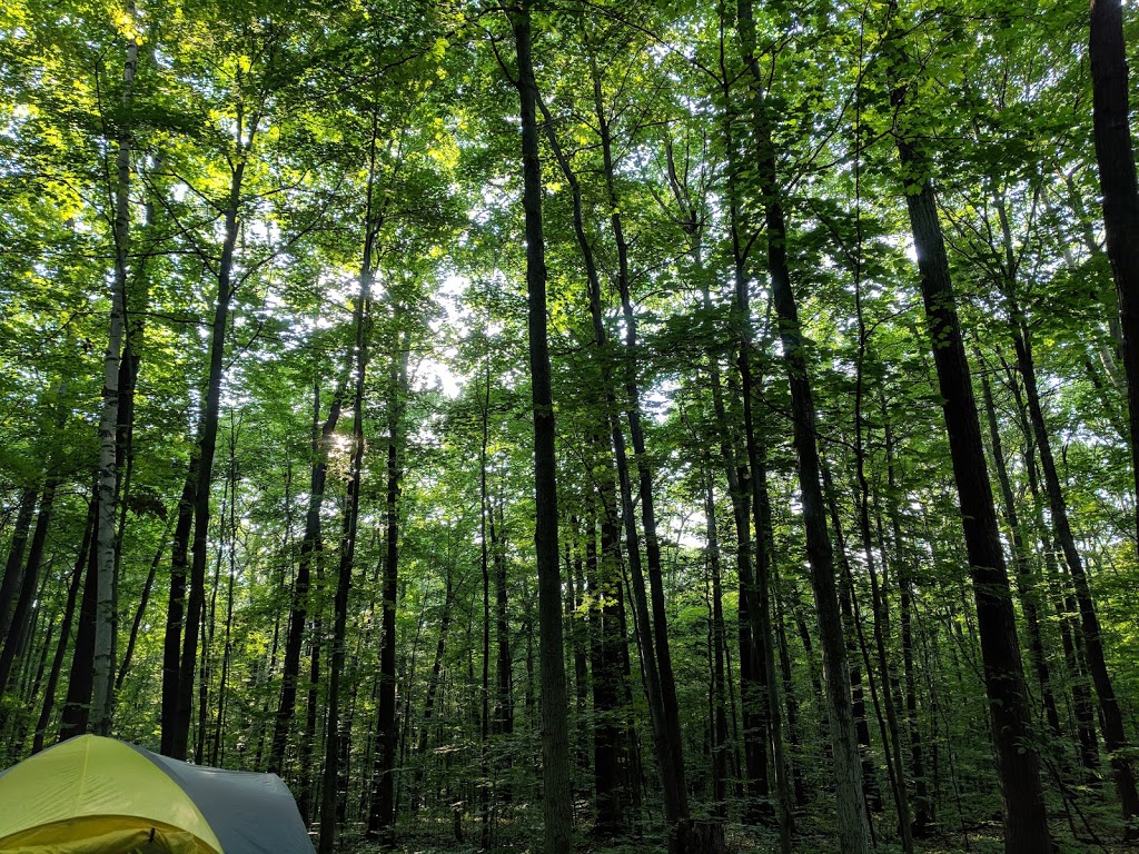 Snake Campground | Tiny, ON L9M 1R2, Canada | Phone: (705) 549-2231