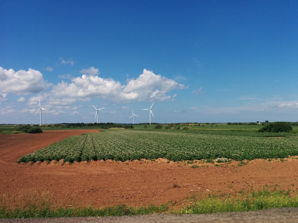 Green Turf Lawn Care | 301 All Weather Hwy, Summerside, PE C1N 5A6, Canada | Phone: (902) 436-3218