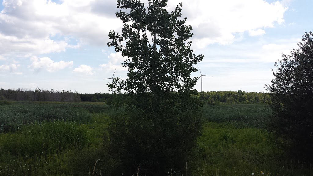 Taquanyah Conservation Area | 429 Decewsville Rd, Cayuga, ON N0A 1E0, Canada | Phone: (905) 768-3288