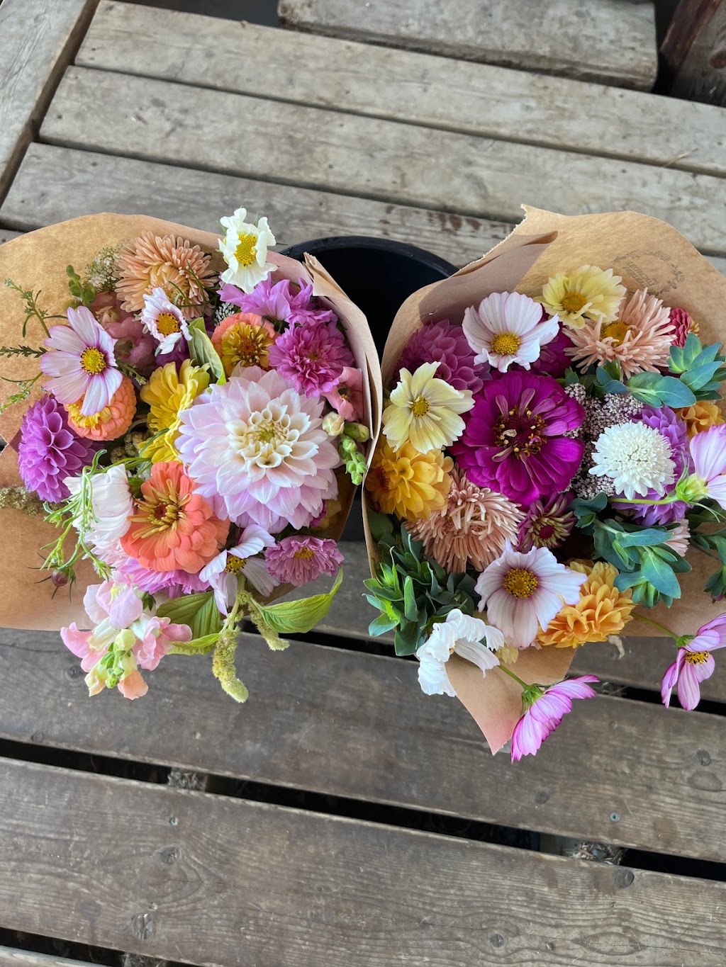 Grow & Gather Flower Farm | 5886 Kapoor Rd, Duncan, BC V9L 6H6, Canada | Phone: (778) 836-0624