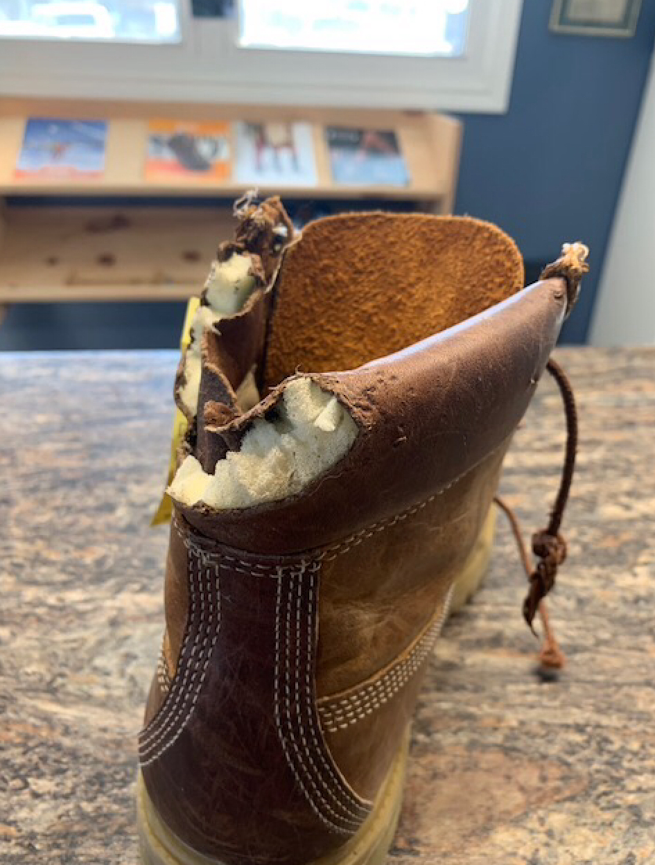 Johnny Shoemaker | 399 Eureka St, Petrolia, ON N0N 1R0, Canada | Phone: (226) 372-0205