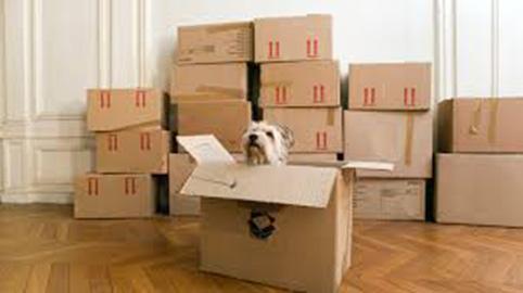 Entrepôt Therrian Warehouses - Sherbrooke | 290 Rue Corbeil, Sherbrooke, QC J1G 3H2, Canada | Phone: (819) 943-7276