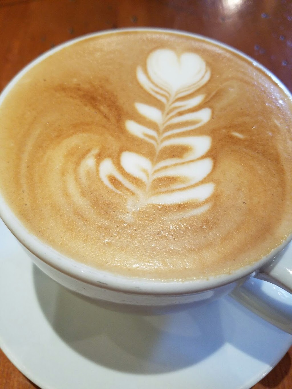 Q Coffee | 5607 Dunbar St, Vancouver, BC V6N 1W5, Canada | Phone: (604) 261-8188
