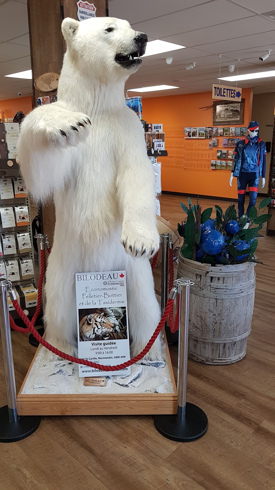 La Crémière du Nord | Les Halles du Bleuet | 265 Bd des Pères, Dolbeau-Mistassini, QC G8L 5C5, Canada | Phone: (418) 979-3394
