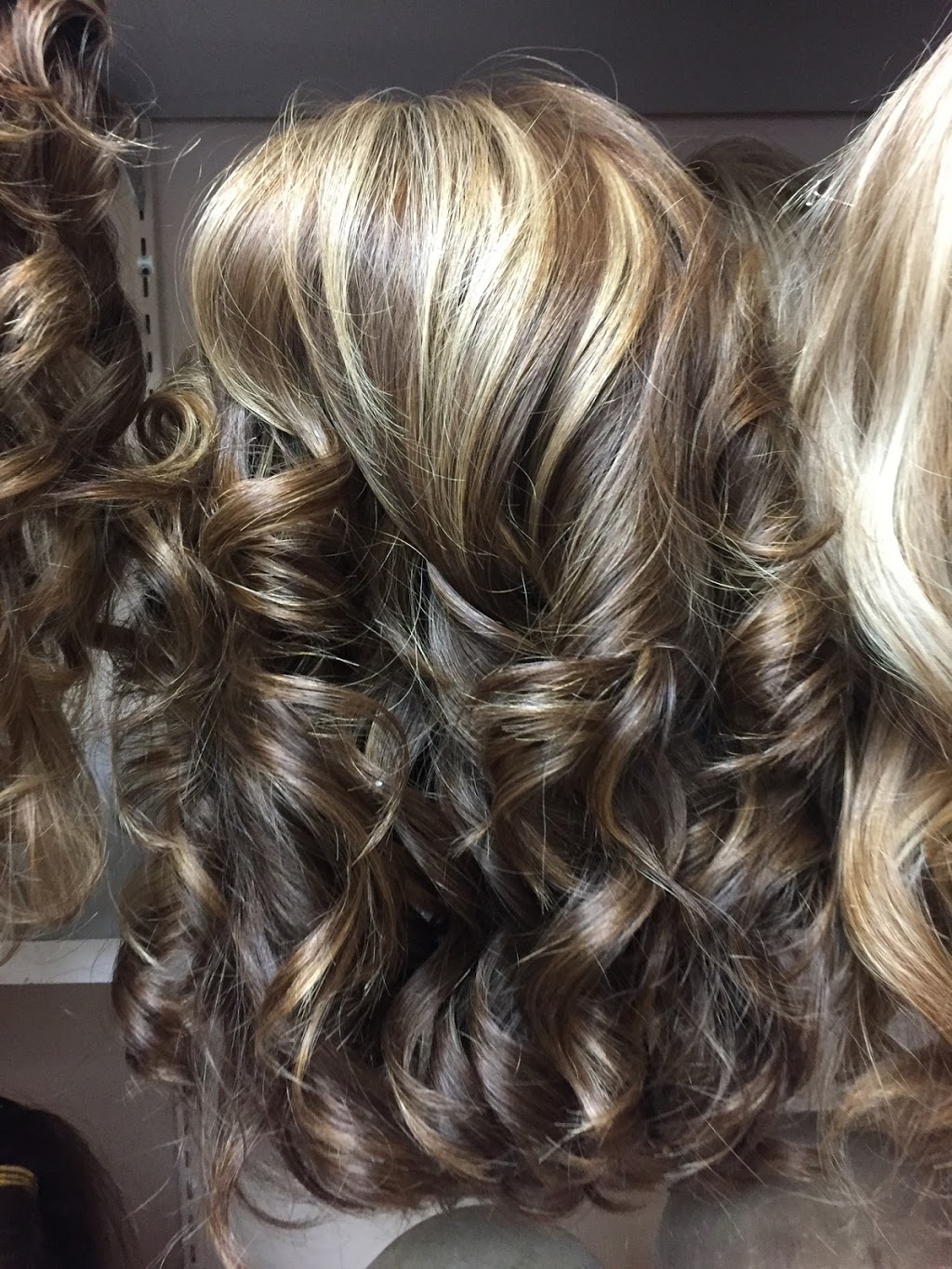 Adriana Hair Stylist | 3323 Bloor St W, Etobicoke, ON M8X 1E7, Canada | Phone: (416) 558-0460