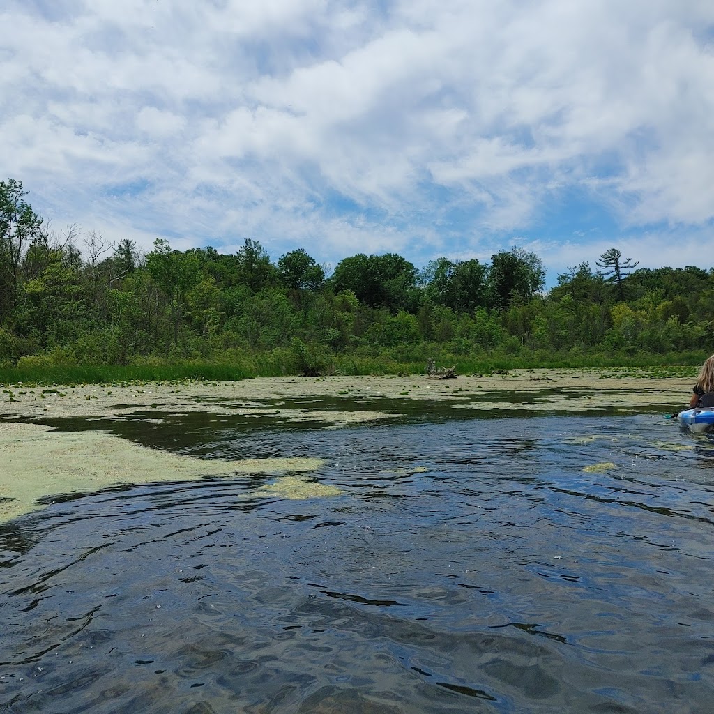 Riverview Kayaking | 59 Robinglade Ave, Seagrave, ON L0C 1G0, Canada | Phone: (905) 435-3814