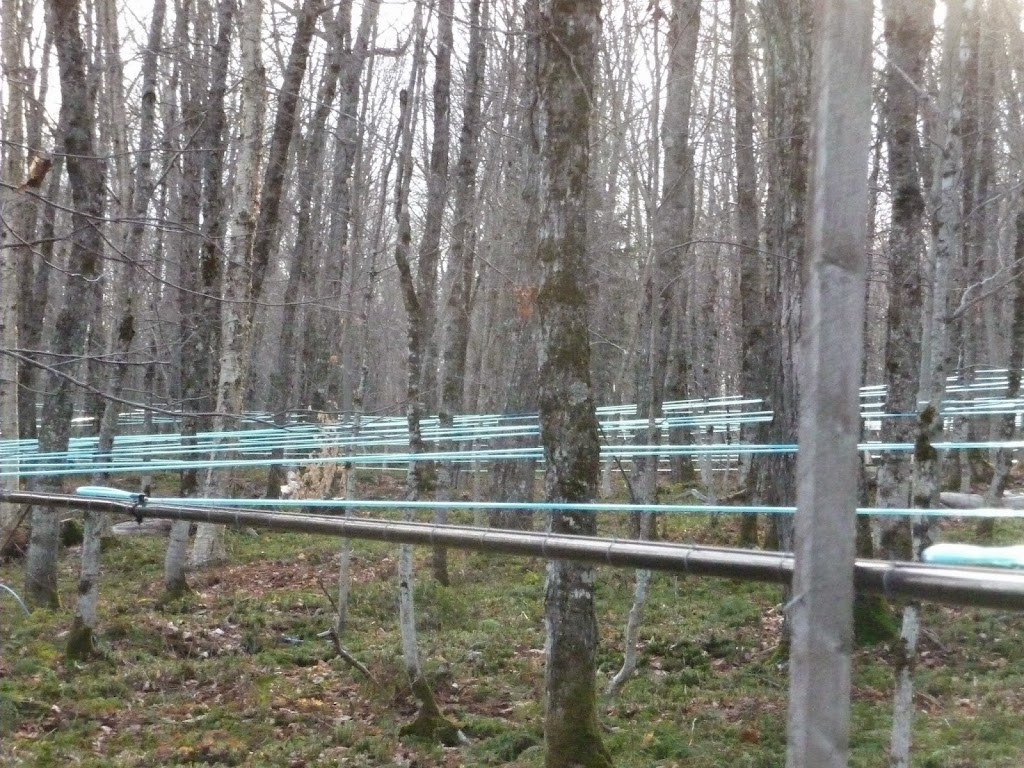 Installation dÉrablière Samson | 169 6e Rang O, Saint-Adalbert, QC G0R 2M0, Canada | Phone: (418) 356-3572