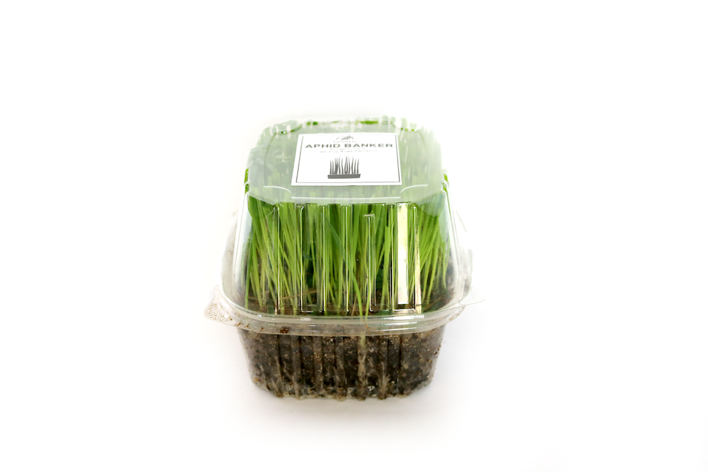 GrowLiv Biologicals - Beneficial Insect Breeder | 3665 Concession Rd 3 N, Amherstburg, ON N9V 2Y9, Canada | Phone: (519) 992-3547