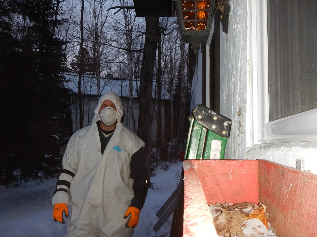 Inspection de bâtiments EB | 2599 Rue Cécile, Rue Lafleur, Val-David, QC J0T 2N0, Canada | Phone: (819) 631-1010