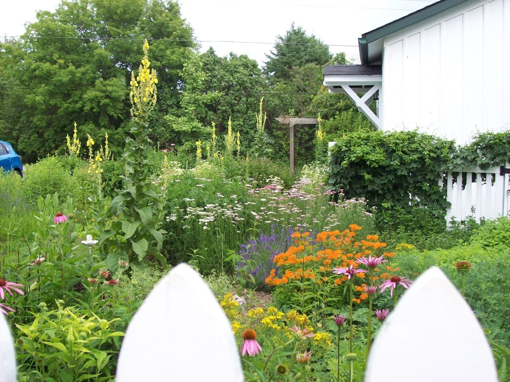 Greenwood Botanicals | RR 1, Locust Hill, ON L0H 1J0, Canada | Phone: (905) 428-7969
