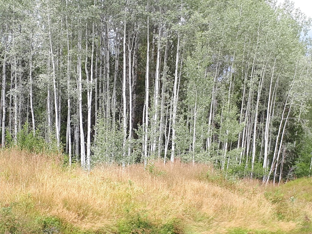 Wilderness Ranch RV Resort | Boston Bar, BC V0K 1C0, Canada | Phone: (604) 786-3940
