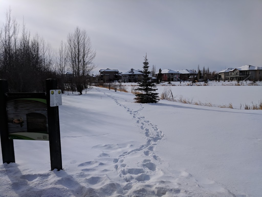 Willow Park Natural Area | 5707 45 St, Stony Plain, AB T7Z 1C7, Canada
