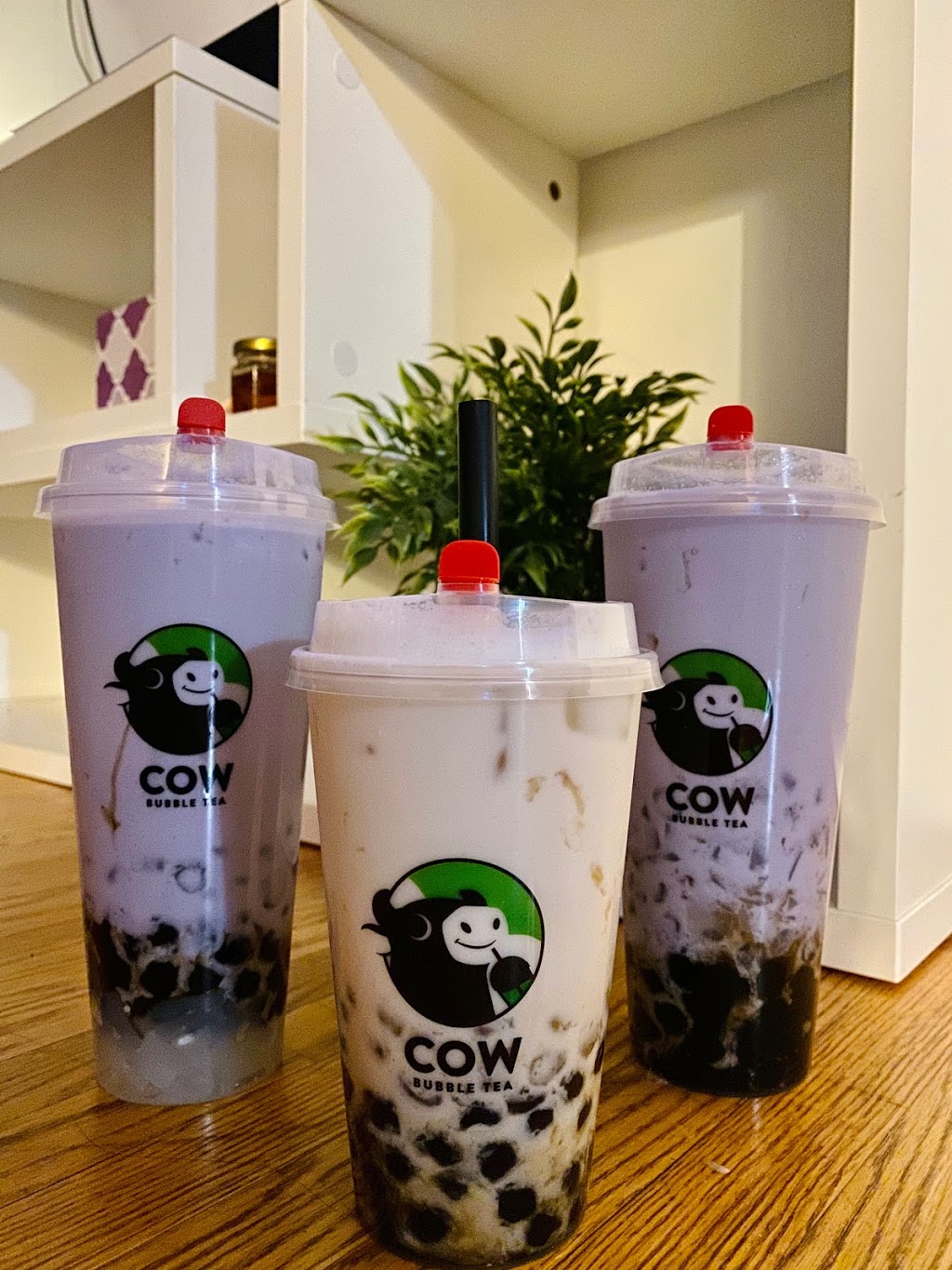 Cow Bubble Tea | 3500 Main St, Buffalo, NY 14226, USA | Phone: (716) 398-5640