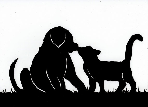 Rickys Raw Dog Food/ A.Glensaxon Kennels | 1854 Trinity Rd S, Ancaster, ON L9G 3L1, Canada | Phone: (905) 648-6955