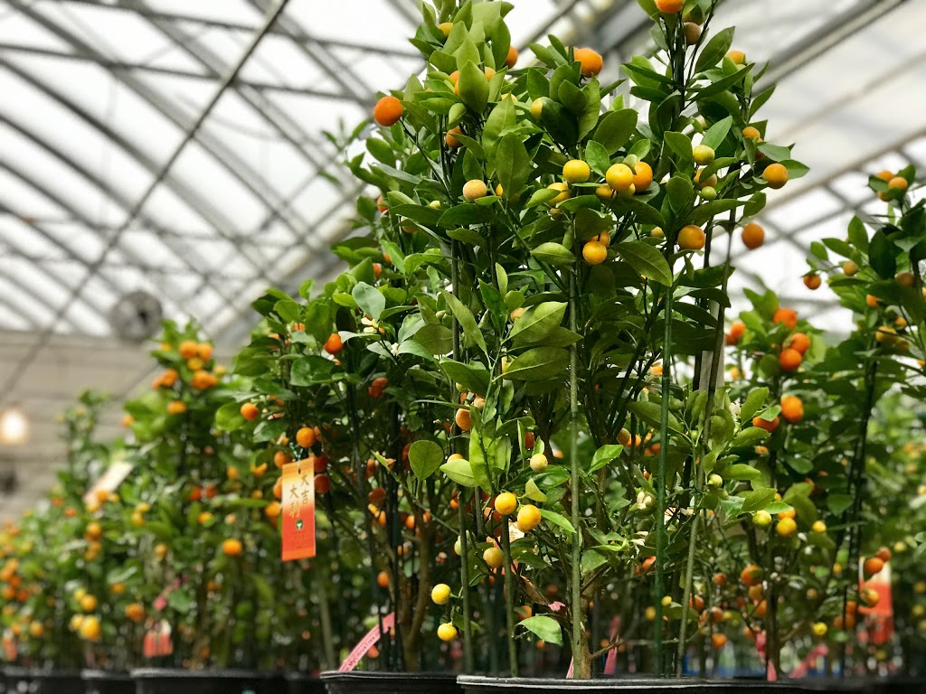 Garden In Gardens Greenhouse Ltd | 7600 No 5 Rd, Richmond, BC V6Y 2V2, Canada | Phone: (604) 233-2323