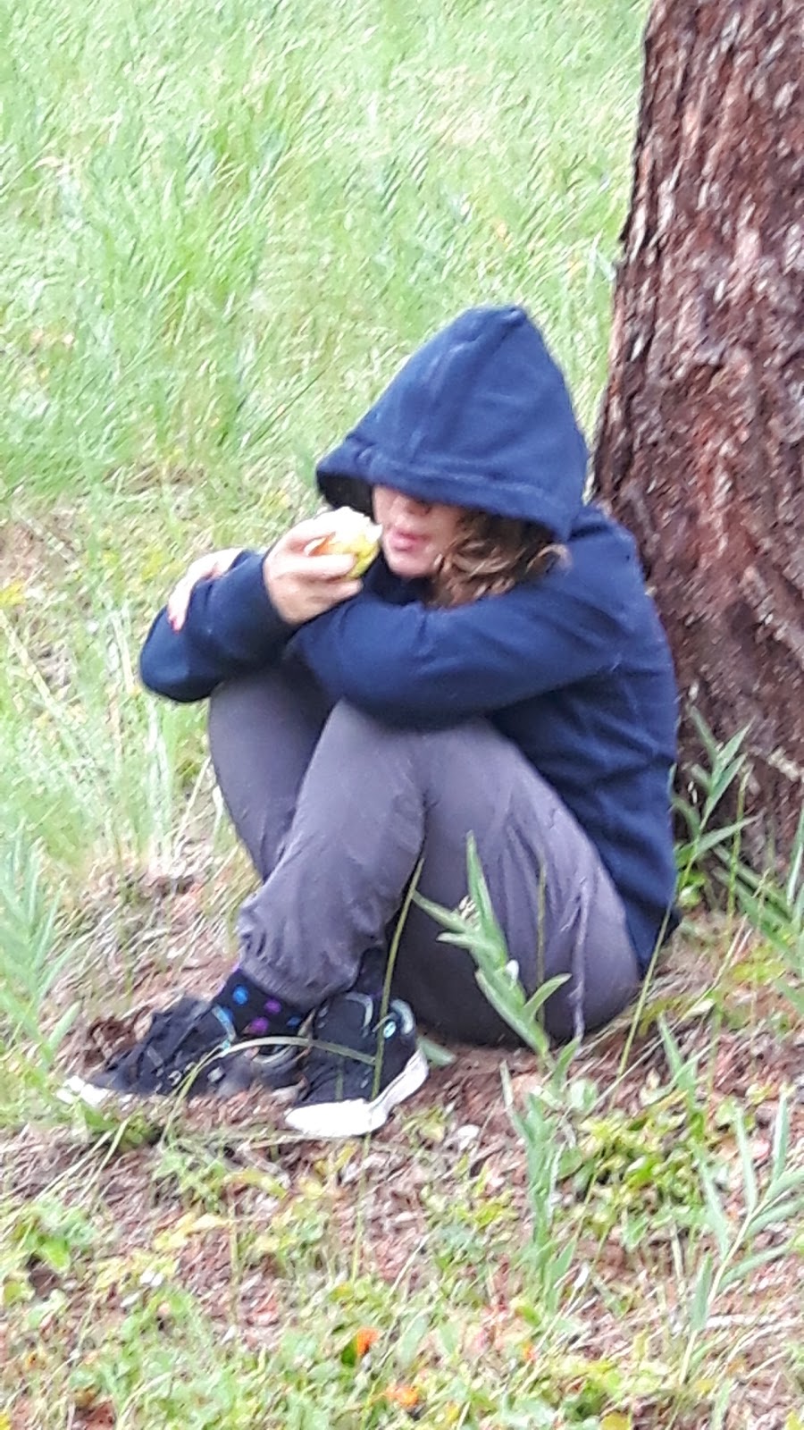 Wycliffe Regional Park | Perry Creek Rd, Cranbrook, BC V1C 7C6, Canada | Phone: (250) 489-2791