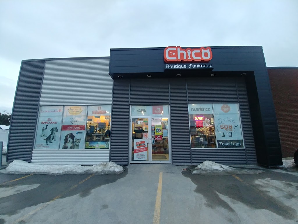 Boutique danimaux Chico Sherbrooke | 27 Rue Raby, Sherbrooke, QC J1G 3T1, Canada | Phone: (819) 933-1071