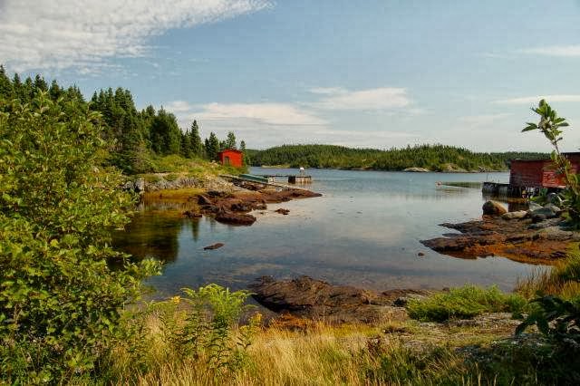 Newfoundland Photography | 18 Talon Ct, Truro, NS B2N 7B4, Canada | Phone: (902) 229-7435