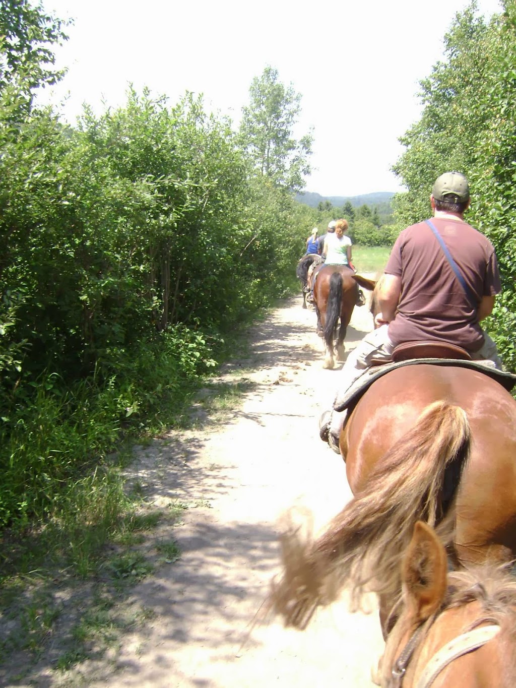 Camping and Ranch du Fjord | 604 Rte de la Grande Alliance, Baie-Sainte-Catherine, QC G0T 1A0, Canada | Phone: (418) 237-4230