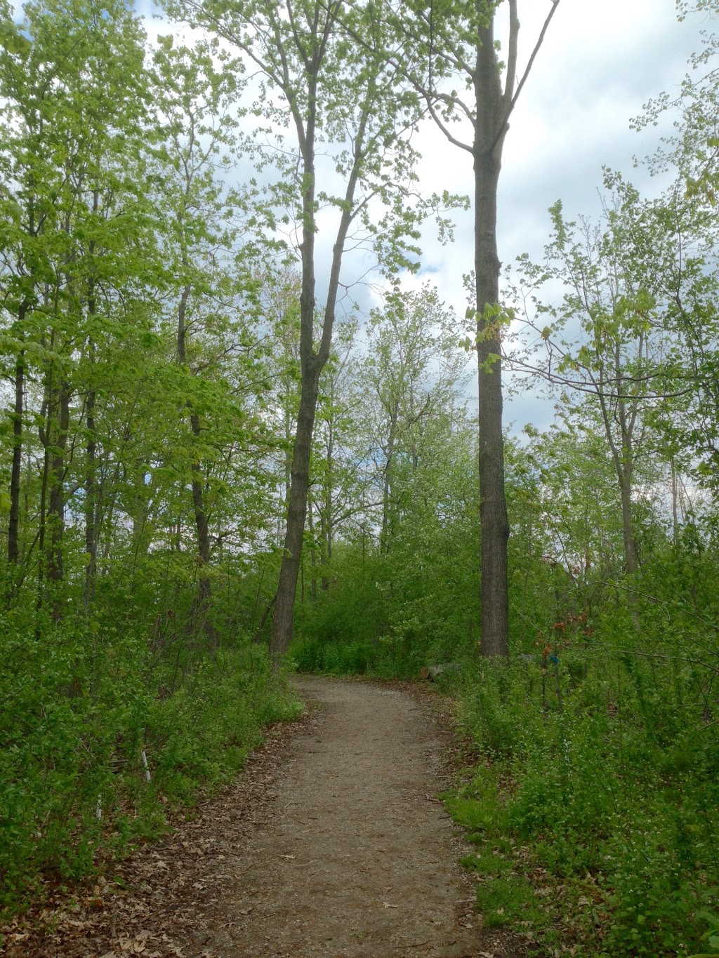 Clearview Woods | Oakville, ON L6J, Canada