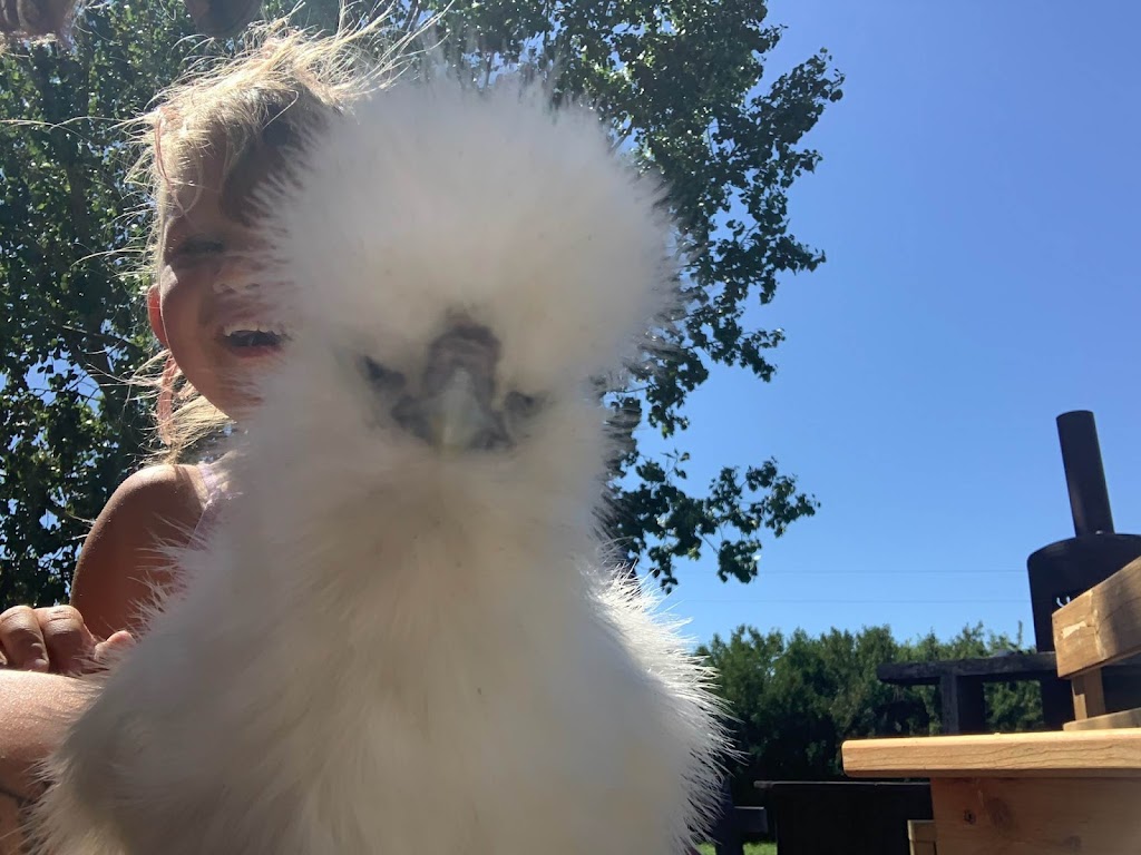 Happy Soles Fun Farm | 194063, Range Rd 245, AB T0L 1P0, Canada | Phone: (403) 800-2283