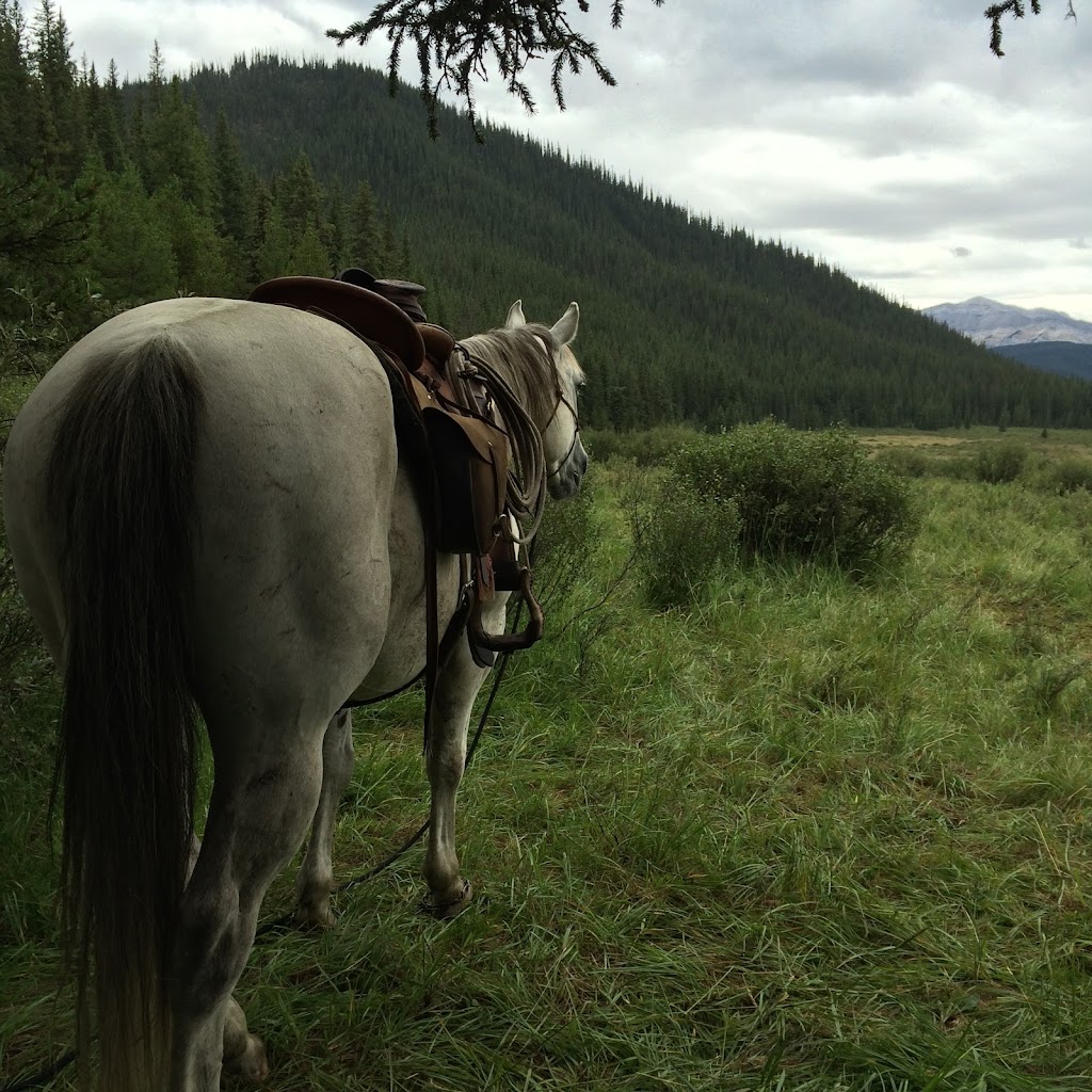 Ram River Tours - Ram Rides | AB-734, Nordegg, AB T0M 2H0, Canada | Phone: (403) 844-0408