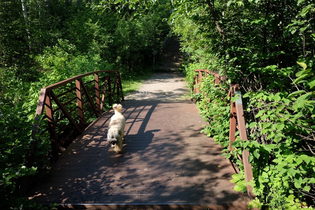 Cascades Conservation Area | 1157 Balsam St, Thunder Bay, ON P7G 1Y2, Canada | Phone: (807) 344-5857