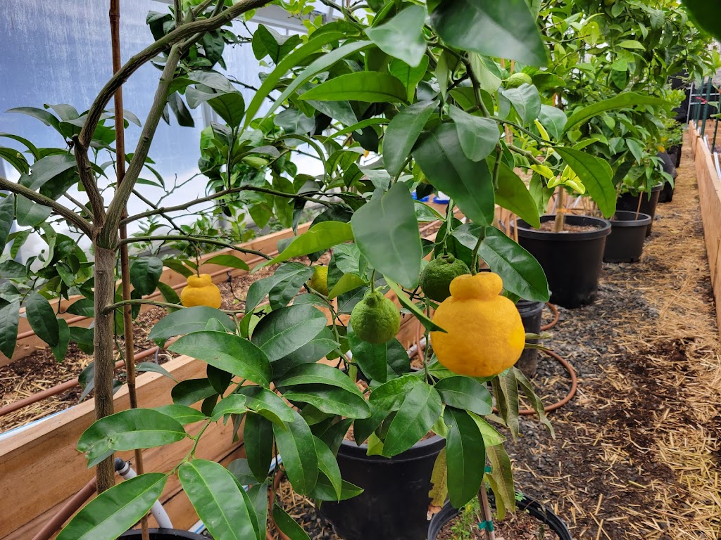 Back to Nature Acres | 3105 Frost Rd, Nanaimo, BC V9X 1S7, Canada | Phone: (778) 885-3407