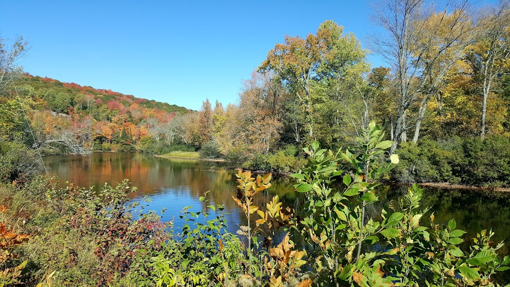 Camp Katrindo | 266 Doe Lake Rd, Katrine, ON P0A 1L0, Canada | Phone: (519) 320-0015