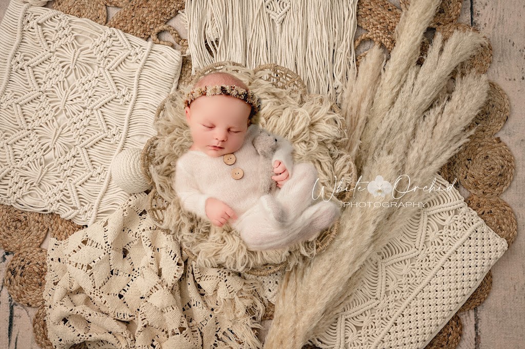 White Orchid Photography | 21 Tanglewood Dr, Binbrook, ON L0R 1C0, Canada | Phone: (905) 512-4760