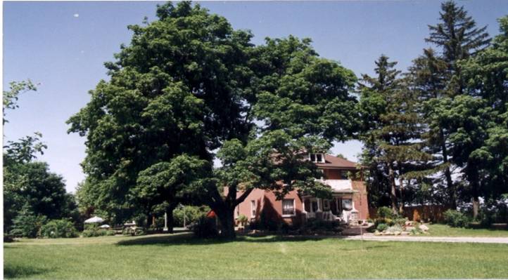 Pamela Covert Slater Wedding Officiant | 3080 Yonge Street, R.R. 2, Bradford, ON L3Z 3X8, Canada | Phone: (289) 231-4557