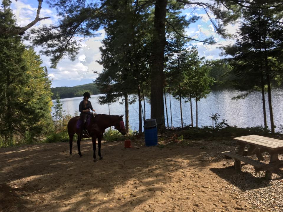 Horse Country Campground | 503 Rafting Rd, Foresters Falls, ON K0J 1V0, Canada | Phone: (613) 867-0585