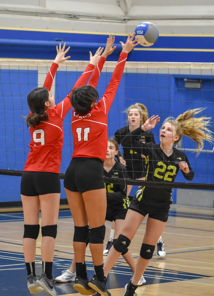 North Shore Stars Volleyball Club | 240 23rd St E, North Vancouver, BC V7L 4R4, Canada | Phone: (604) 836-7971