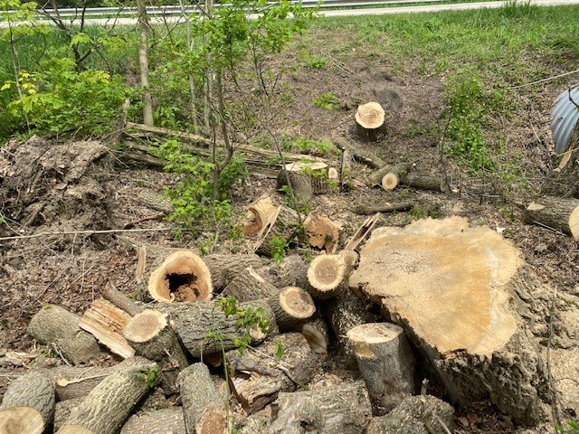 Williams Brothers Tree Svc | 308611 Hockley Rd, Orangeville, ON L9W 2Z2, Canada | Phone: (519) 941-3902