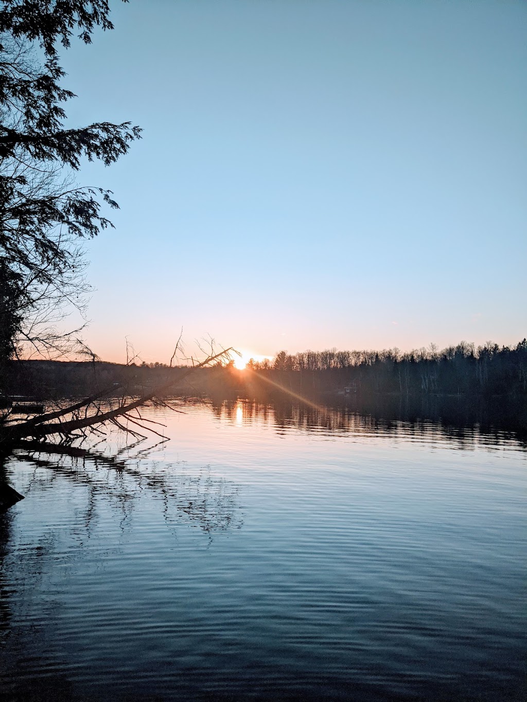 Pinecrest on the Lake | 1254 Birch Narrows Rd, Dysart et al, ON K0M 1S0, Canada | Phone: (647) 358-6602