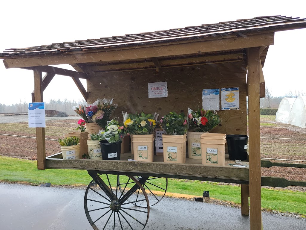 Smit Nursery Ltd. | 28490 58 Ave, Abbotsford, BC V4X 2E8, Canada | Phone: (604) 856-2456