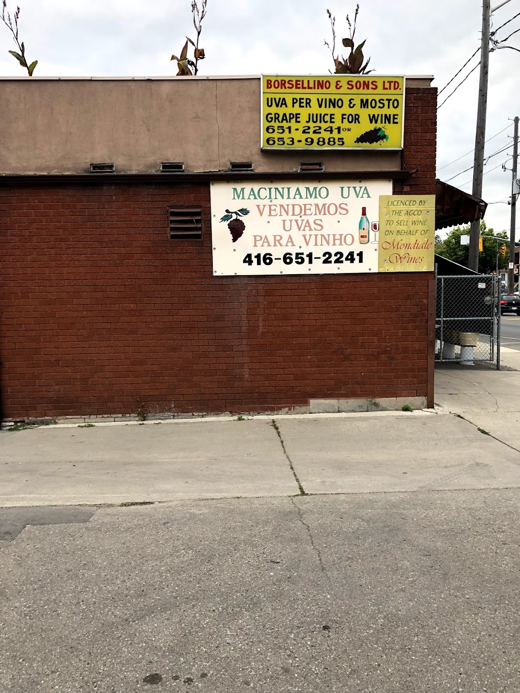 Borsellino & Son Grapes Importing Inc. | 201 Rogers Rd, York, ON M6M 5G2, Canada | Phone: (416) 651-2241