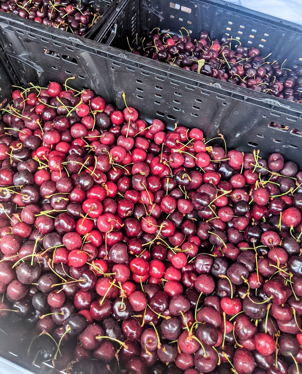 Faheys Fruit Stand | 5314 51 Ave, Clive, AB T0C 0Y0, Canada | Phone: (403) 896-0984