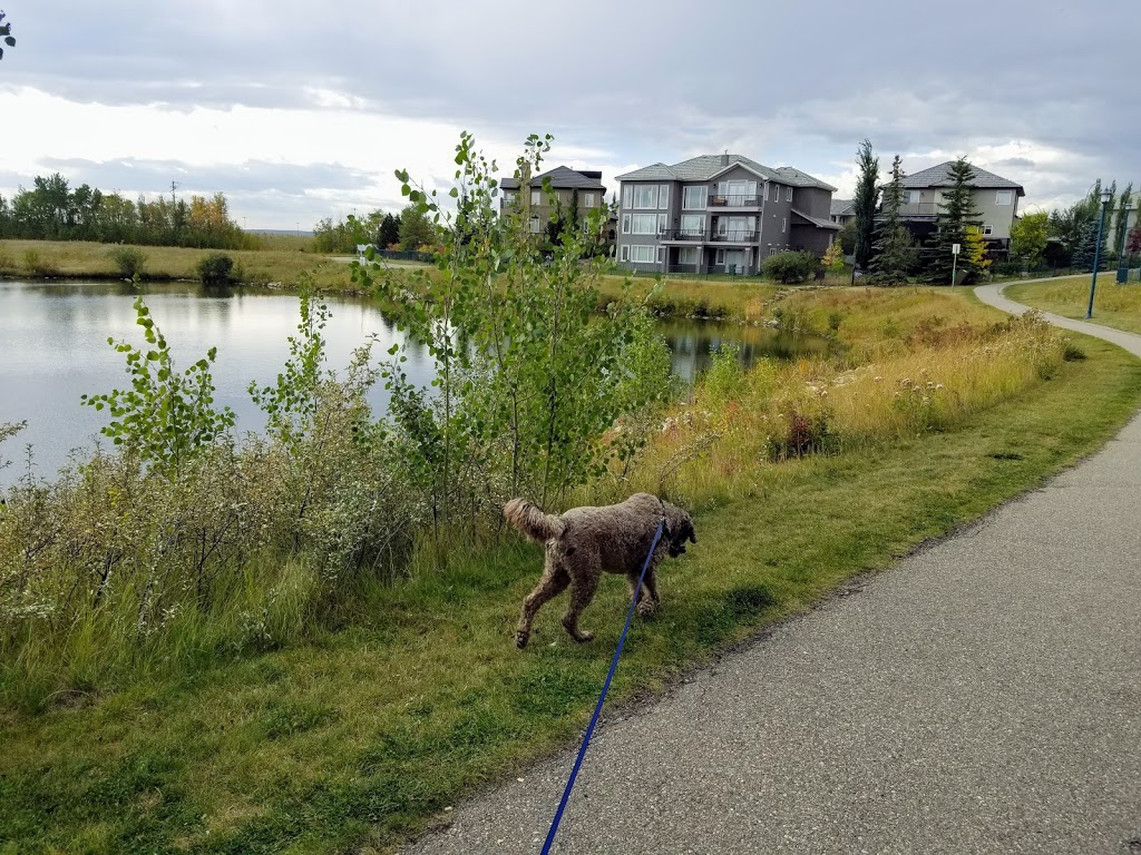 Arad Park | Royal Oak, Calgary, AB T3G 4X6, Canada