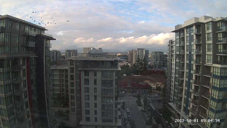 裕景园 | 6351 Minoru Blvd, Richmond, BC V6Y 1Y4, Canada | Phone: (778) 251-5188