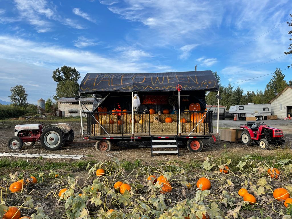 Haney Fresh Farm | Haney Fresh Farm, 24331 Dewdney Trunk Rd, Maple Ridge, BC V4R 1W7, Canada | Phone: (778) 955-5000