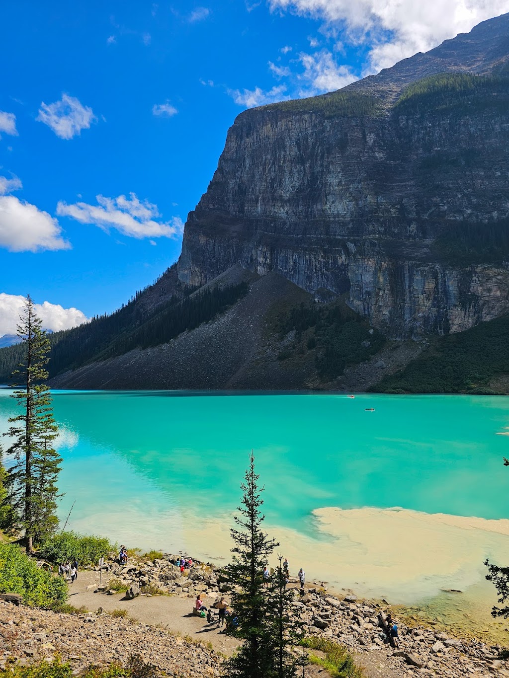 Brewsters Lake Louise Stables | 111 Lake Louise Dr, Lake Louise, AB T0L 1E0, Canada | Phone: (403) 762-5454
