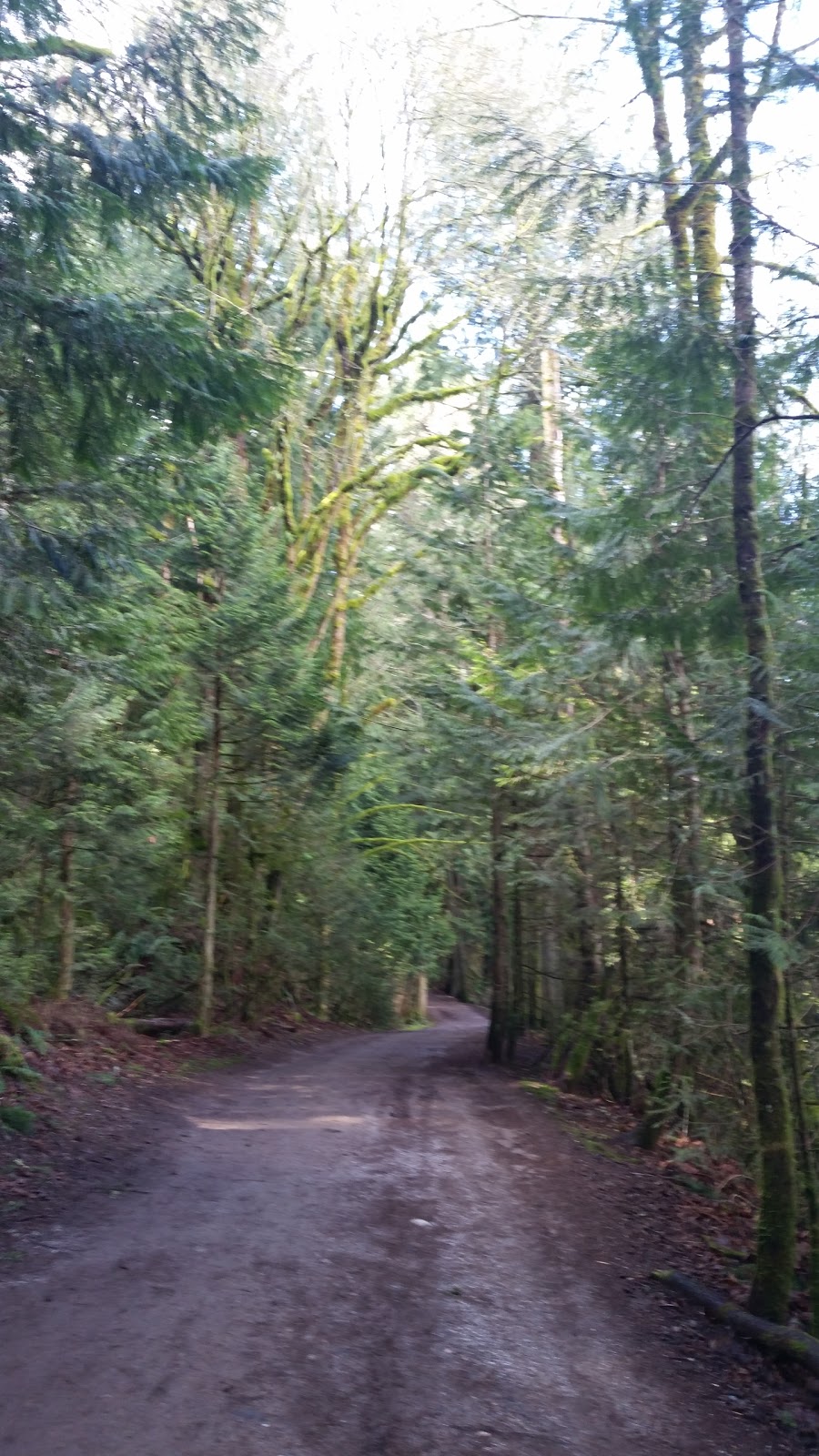 Lake Padden Dog Park | 4882 S Samish Way, Bellingham, WA 98226, USA | Phone: (360) 738-7400