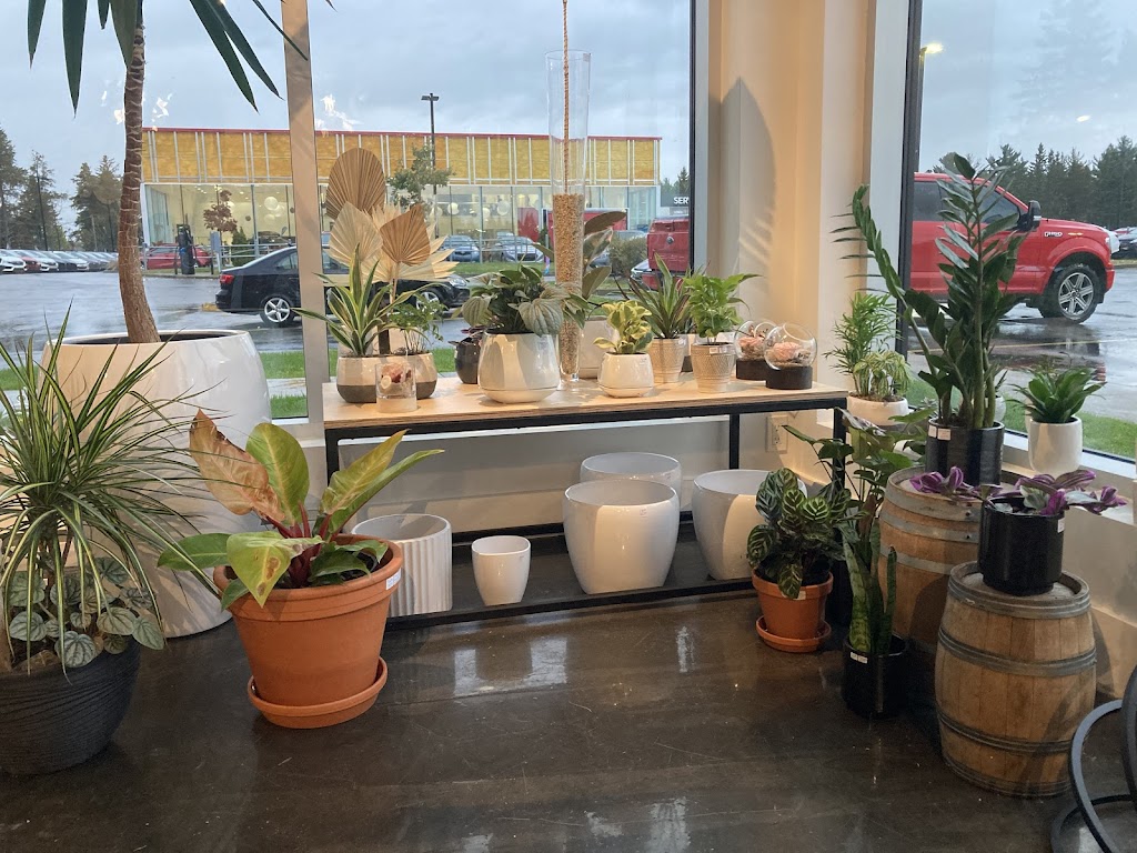 À Fleurs de Pot | 1930 Rue de lInterlude suite 101, Québec, QC G3K 0R6, Canada | Phone: (418) 845-4141