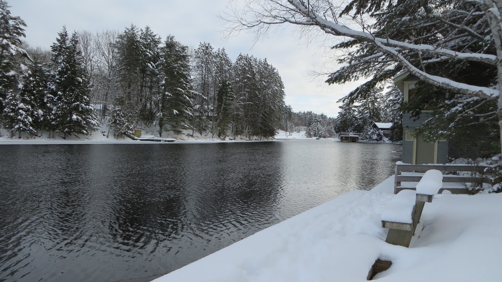 Marys Lakeside Grill | 656 Muskoka District Road 10, Port Sydney, ON P0B 1L0, Canada | Phone: (705) 385-8800